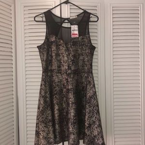 Nordstrom Dresses - BRAND NEW WITH TAGS!!! GOLD AND BLACK SKATER DRESS Nordstrom Dresses - BRAND NEW WITH TAGS!!! GOLD AND BLACK SKATER DRESS